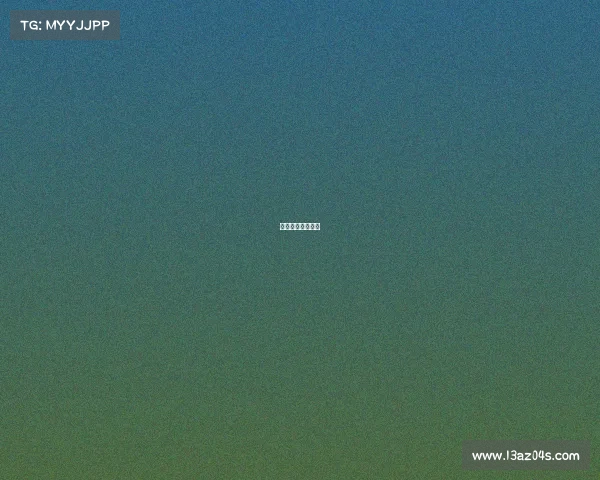 巴甲赛事最新比分